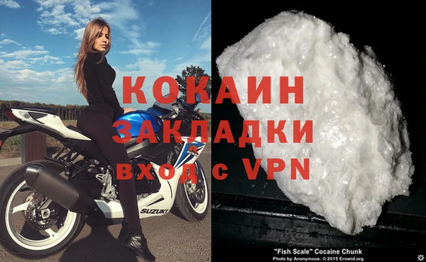 прущие грибы Всеволожск