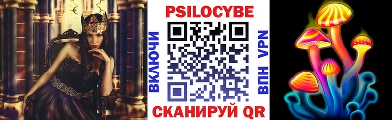 Галлюциногенные грибы Cubensis  блэк спрут как зайти  Гвардейск 