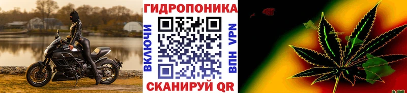 Конопля индика  купить  сайты  Гвардейск 